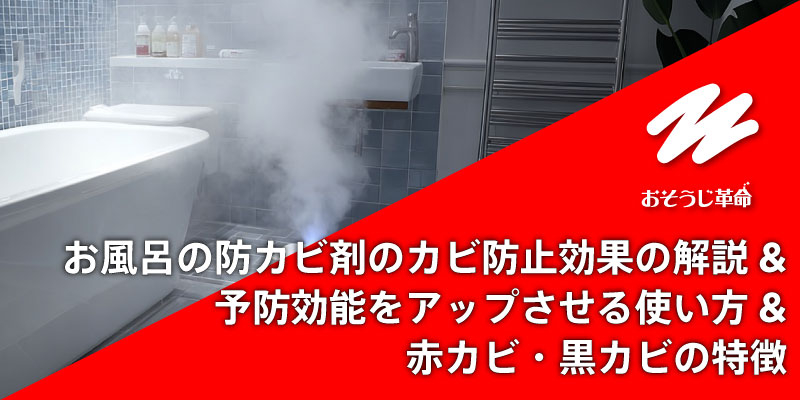 お風呂の防カビ剤のカビ防止効果の解説＆予防効能をアップさせる使い方＆赤カビ・黒カビの特徴