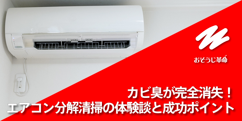 カビ臭が完全消失！エアコン分解清掃の体験談と成功ポイント