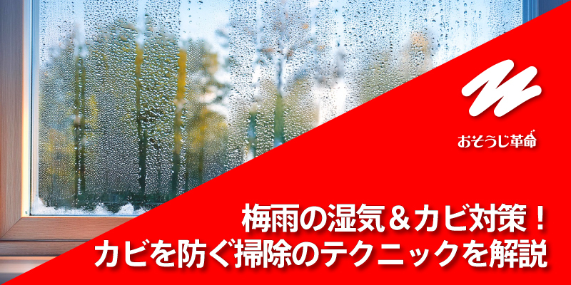 梅雨の湿気＆カビ対策！カビを防ぐ掃除のテクニックを解説