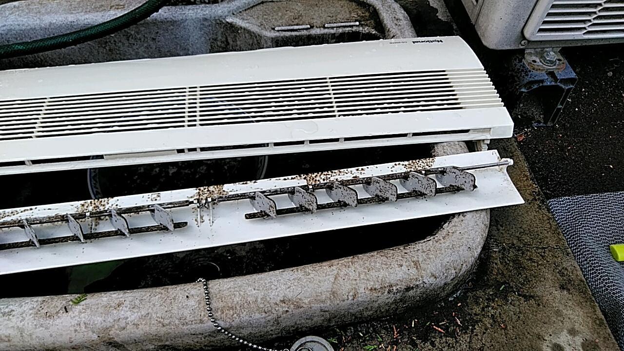 20181024_103409_437.jpg