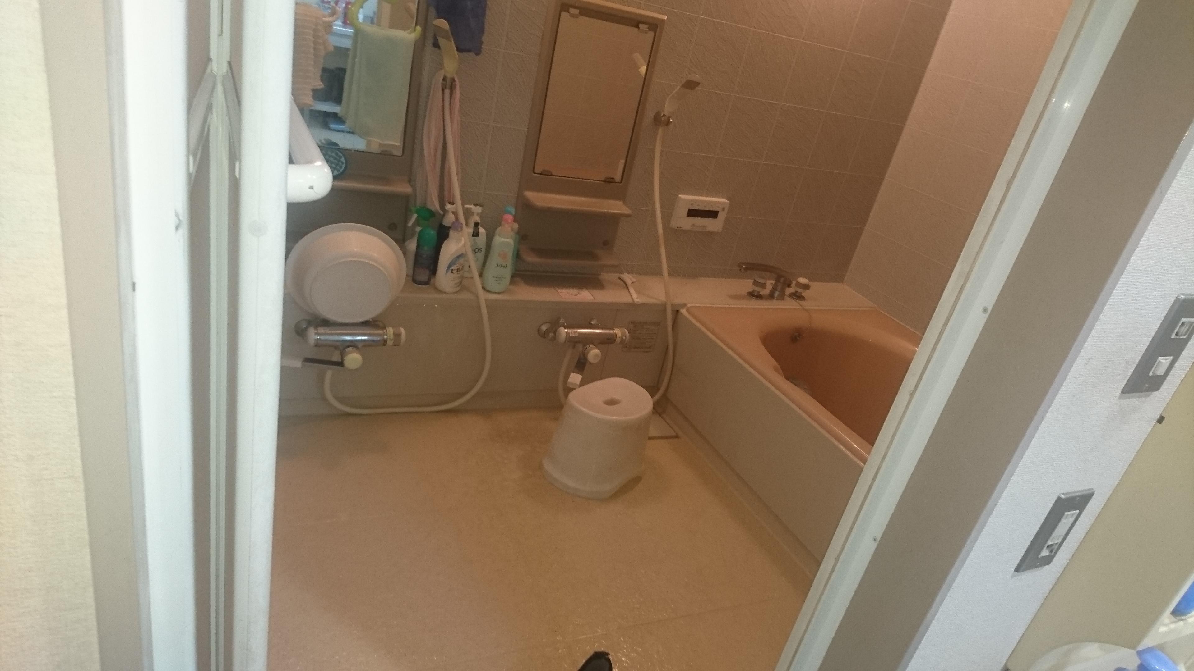 DSC_1866.JPG