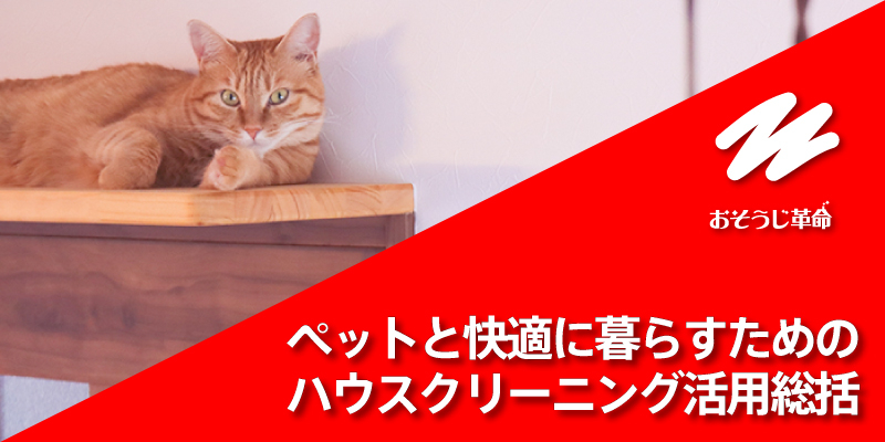 ペットと快適に暮らす！ハウスクリーニングを利用した体験談を紹介