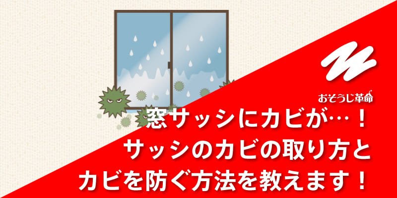 窓サッシにカビが…！サッシのカビの取り方とカビを防ぐ方法を教えます！