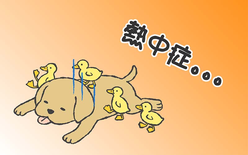 犬猫の熱中症