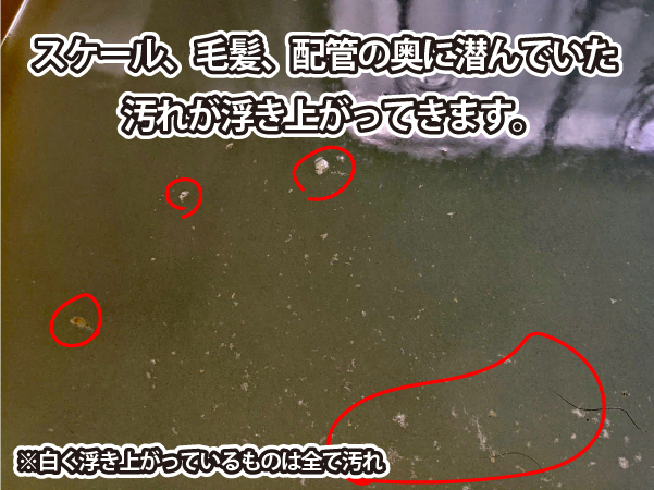 追い焚き配管の洗浄後、湯船に浮き上がってきた汚れ